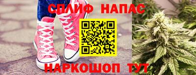 ГАЛЛЮЦИНОГЕННЫЕ ГРИБЫ Боровичи
