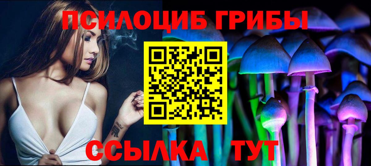 Гусев  Галлюциногенные грибы прущие грибы  Вход с VPN 